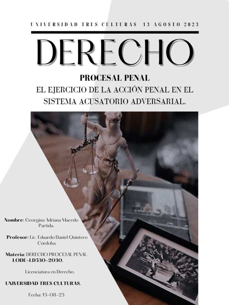El Proceso de La Acción Penal en El Sistema Acusatorio Adversarial ...