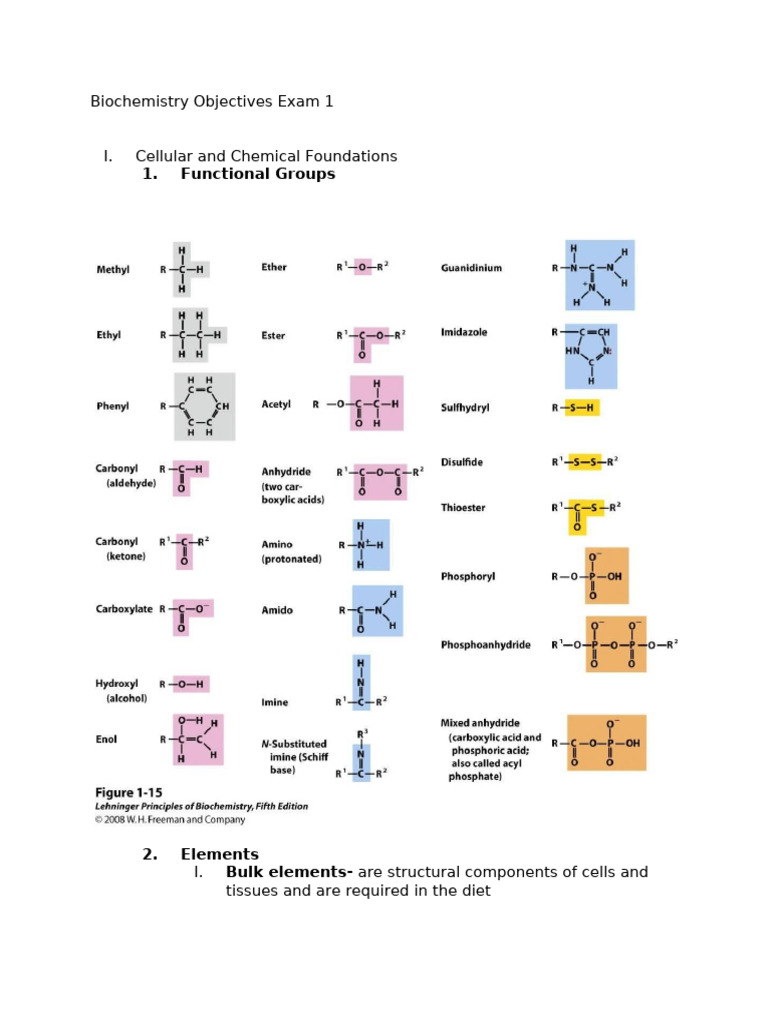 Biochemistry Study Sheet Exam 1 | PDF | Amino Acid | Protein Structure