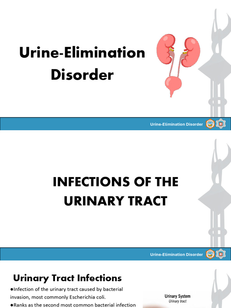Urine Elimination Disorder | PDF | Urinary Incontinence | Urinary Tract ...
