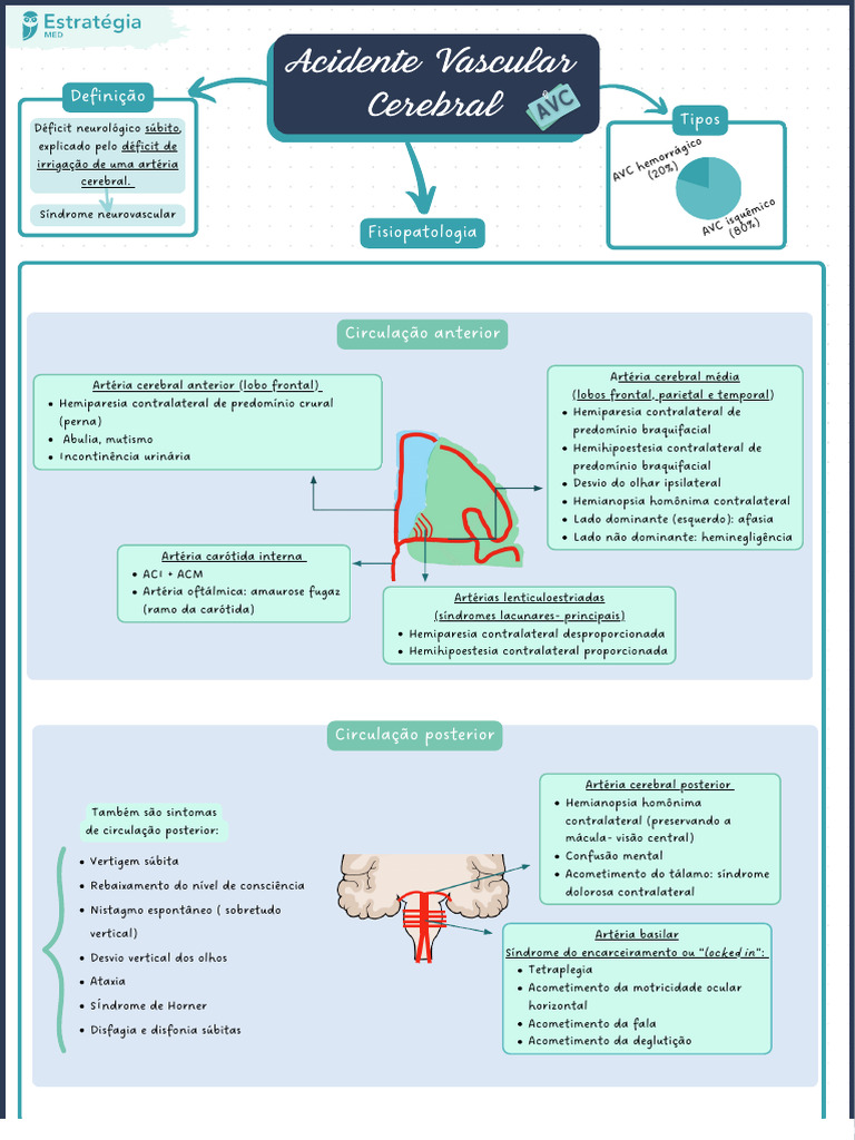 Mapa Mental - Acidentes Vasculares Cerebrais | PDF | AVC | Angiologia