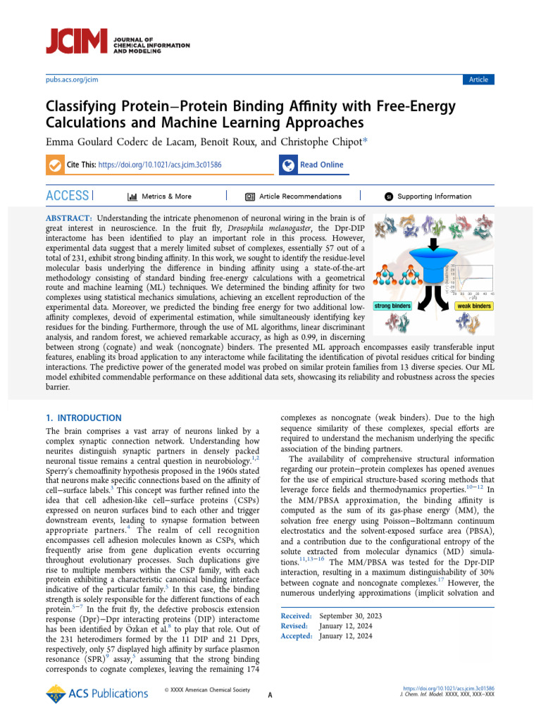 Classifying Protein–Protein Binding Affinity with Free-Energy ...