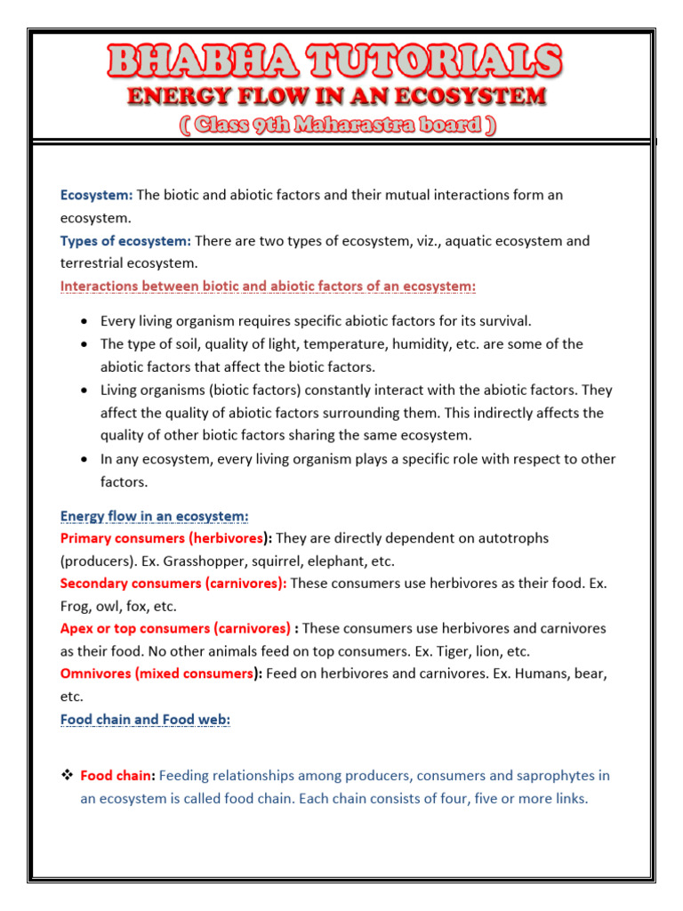 energy flow in an ecosystem | PDF | Food Web | Ecosystem