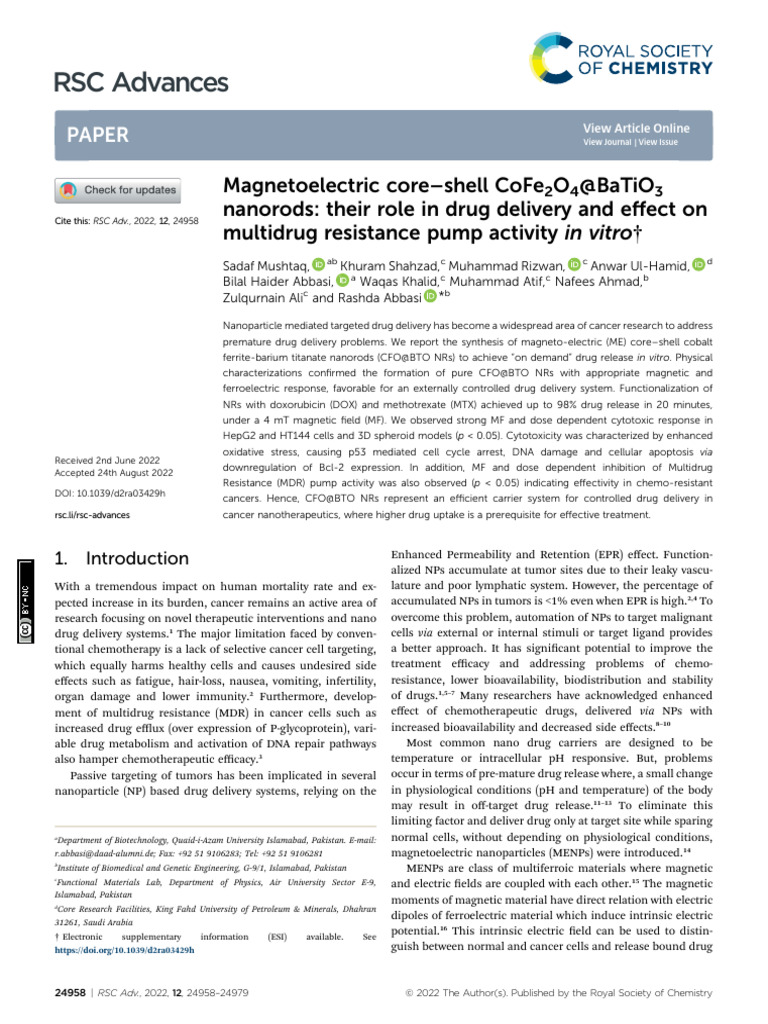 2. Core Shell Rod | PDF | Buffer Solution