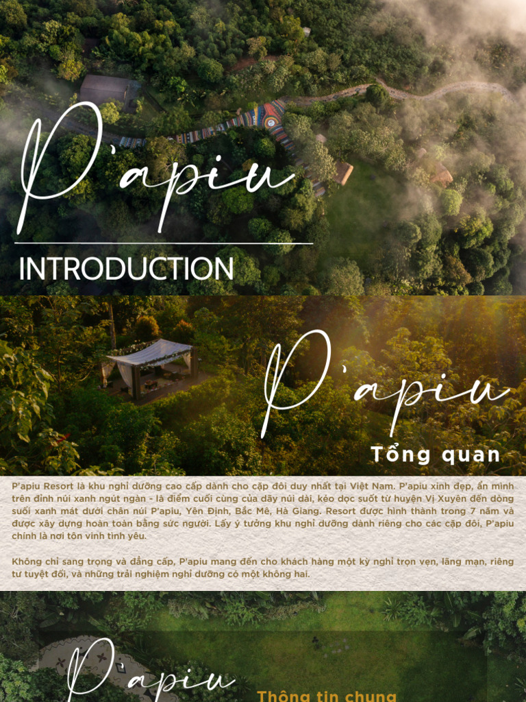 P'Apiu Introduction (VN) | PDF