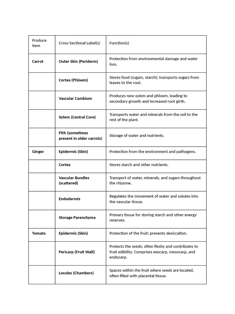 Produce Item | PDF | Root | Plant Stem