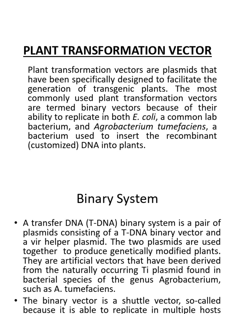 Plant Vectors | PDF | Vector (Molecular Biology) | Plasmid