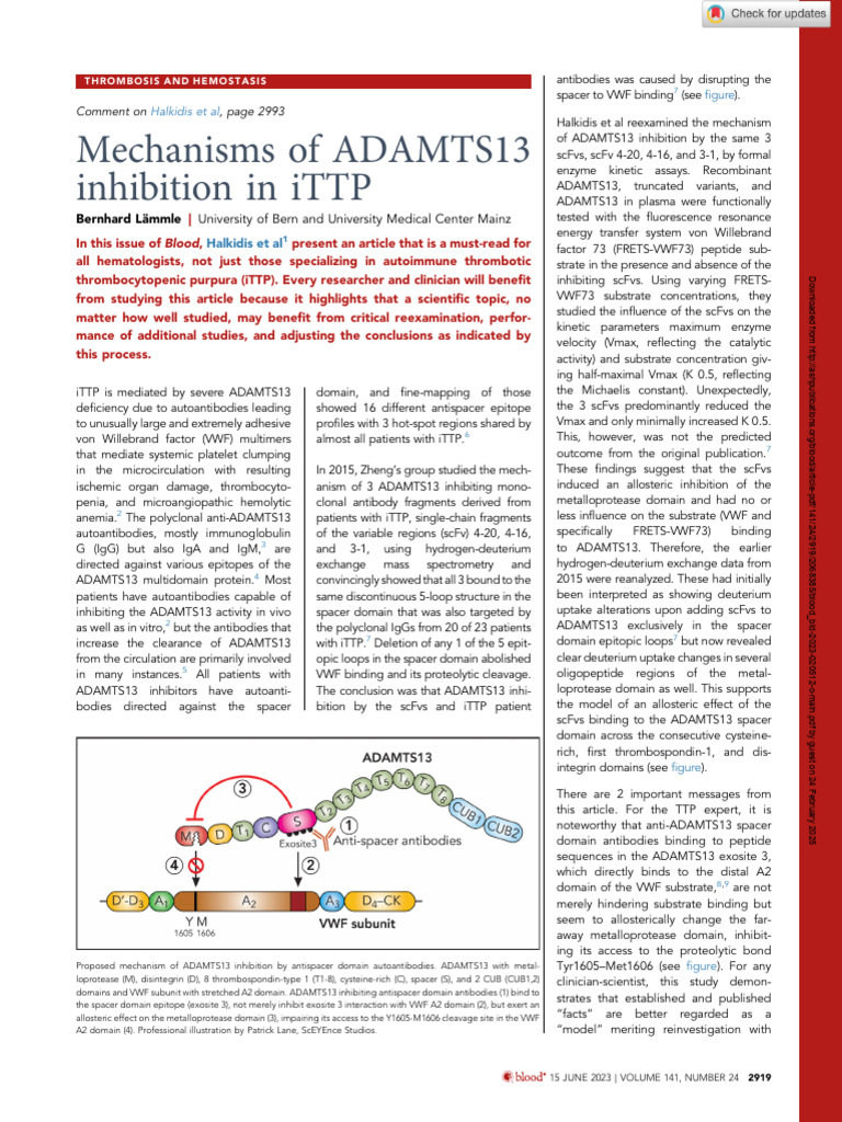 Mechanisms of ADAMTS13 Inhibition in ITTP | PDF | Antibody | Blood