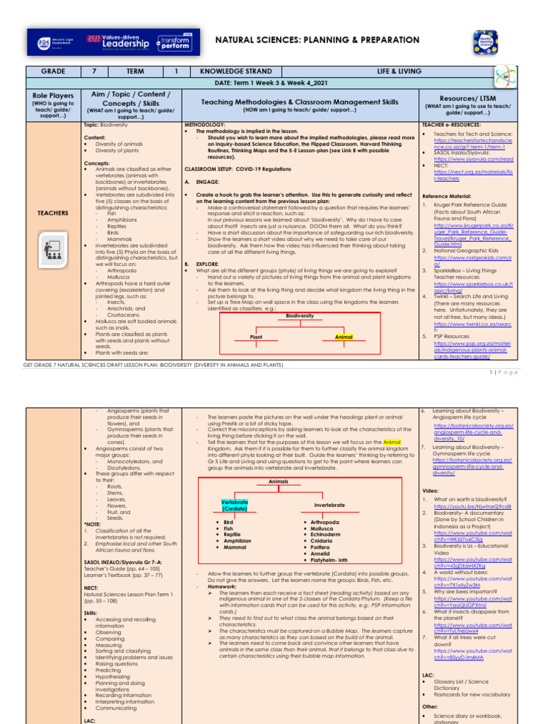 Lesson Plan Gr. 7 Natural Sciences T1 W3 & W4 | PDF | Seed | Invertebrate