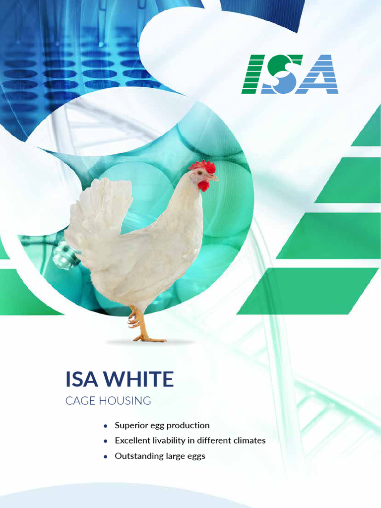 ISA White Cs Product Leaflet Cage en L1211-2 | PDF | Poultry Farming ...