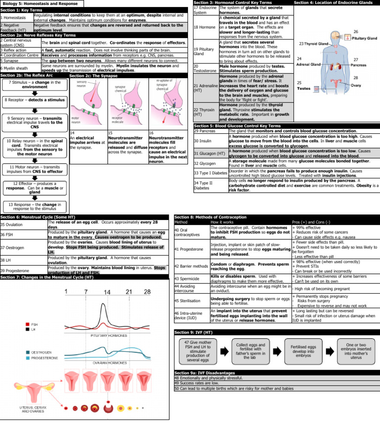 Science B5 Knowledge Organiser Homeostasis PDF | PDF | Combined Oral ...