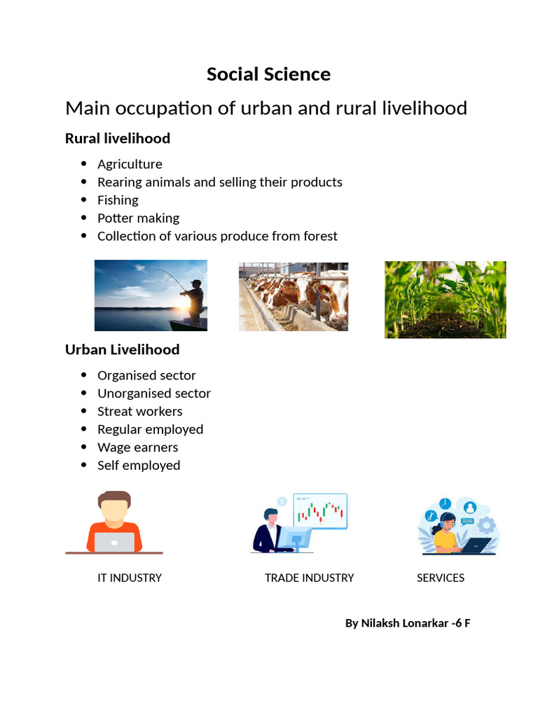 Main Occupation of Urban and Rural Livelihood | PDF