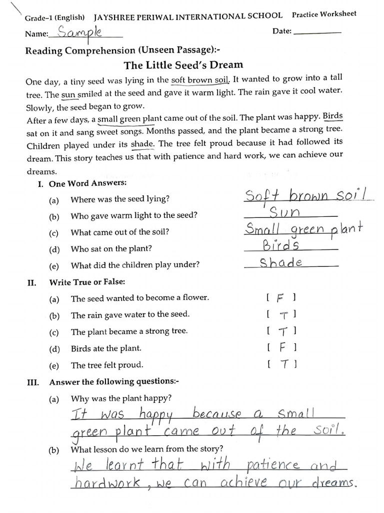 Sample of Optional Practice Sheet | PDF
