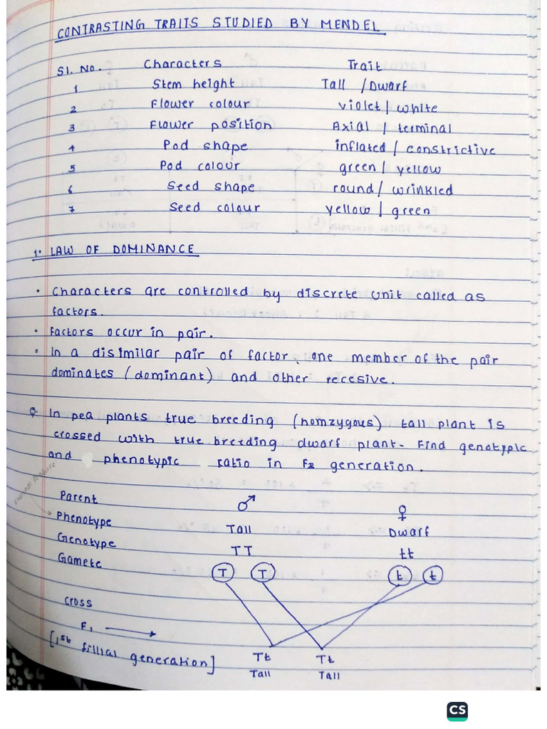 Gentics & Inheritance Notes | PDF