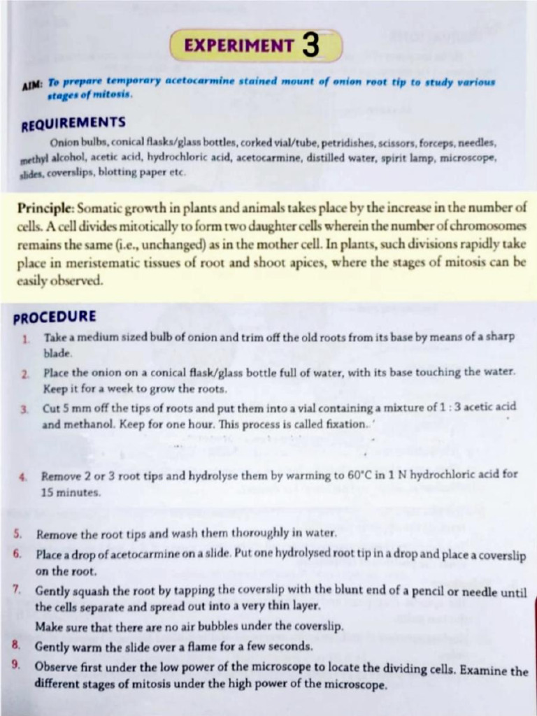 Experiment 03 | PDF