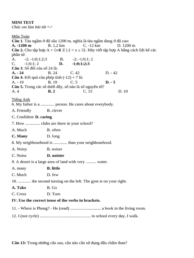 Mini Test | PDF