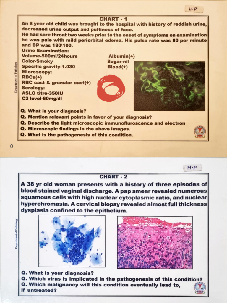 Histopathology Charts - 260209 - 144811 | PDF