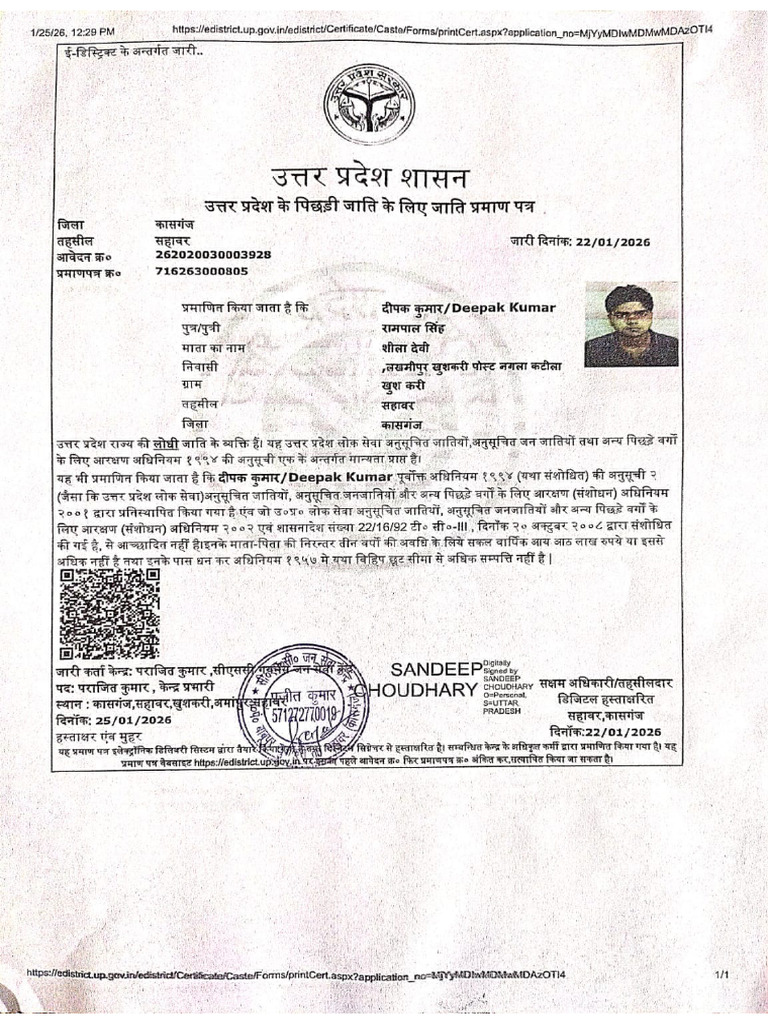 Cast | PDF