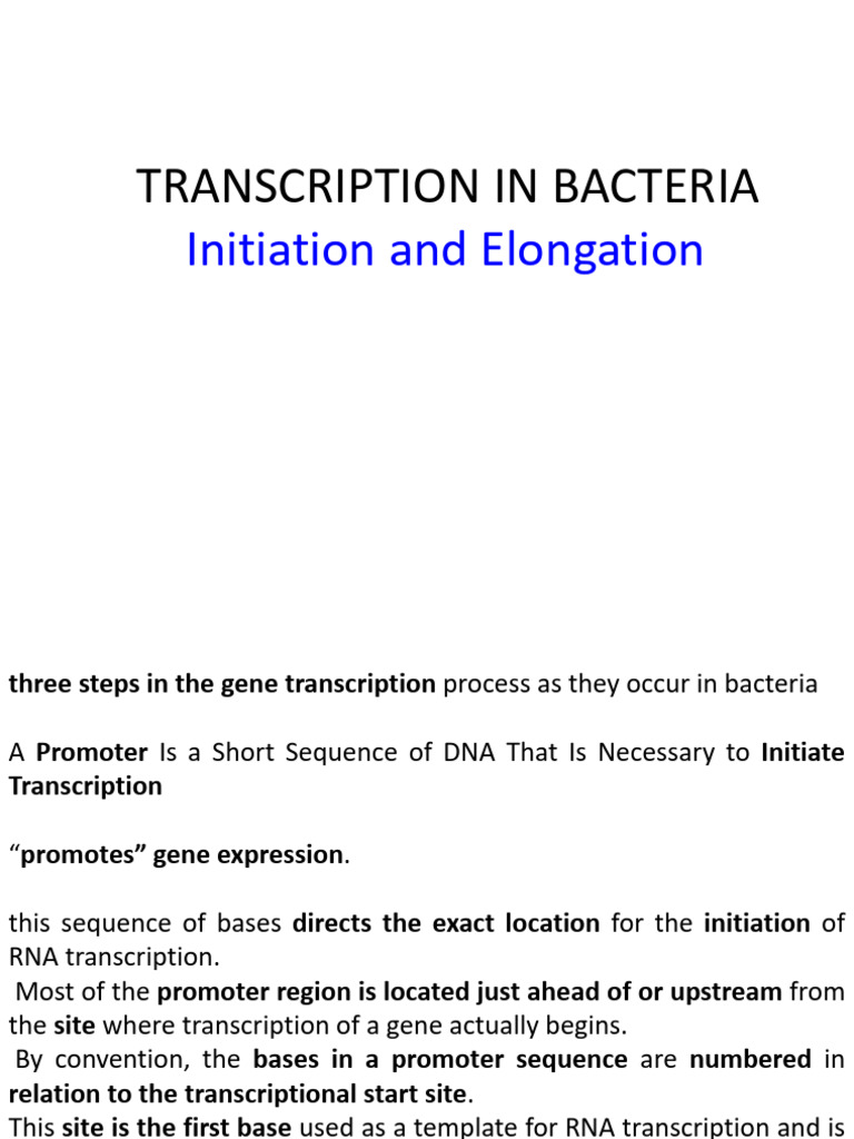 Transcription Part 2 | PDF