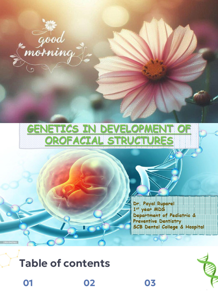 Genetics in Orofacial Development | PDF | Planets | Human Nose