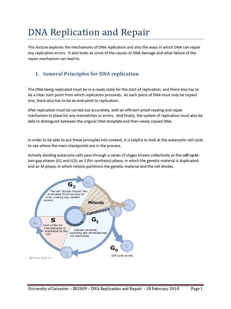 1 DNA Replic and Repair-1 | PDF | Dna Replication | Dna Repair