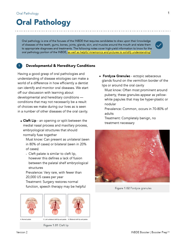 INBDEBooster Oral Pathology | PDF | Human Tooth | Medical Specialties