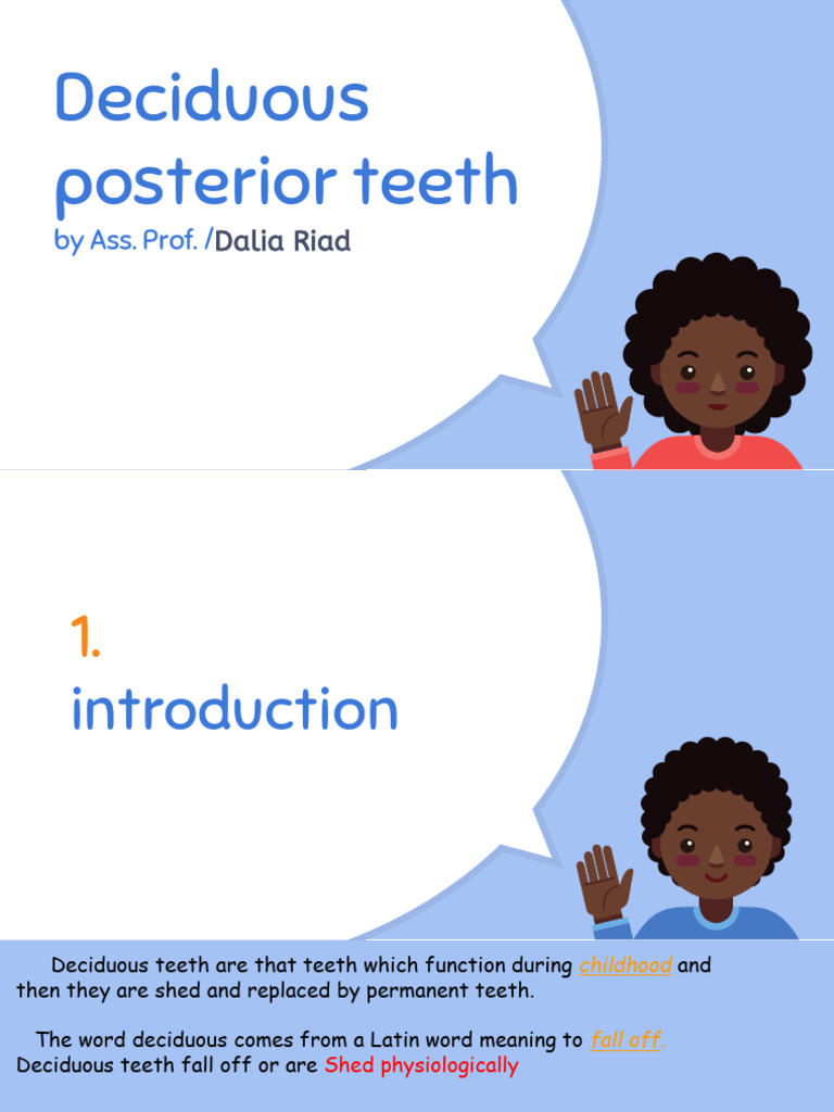Lecture 5 Deciduous Posterior Teeth | PDF | Dental Anatomy | Animal Anatomy