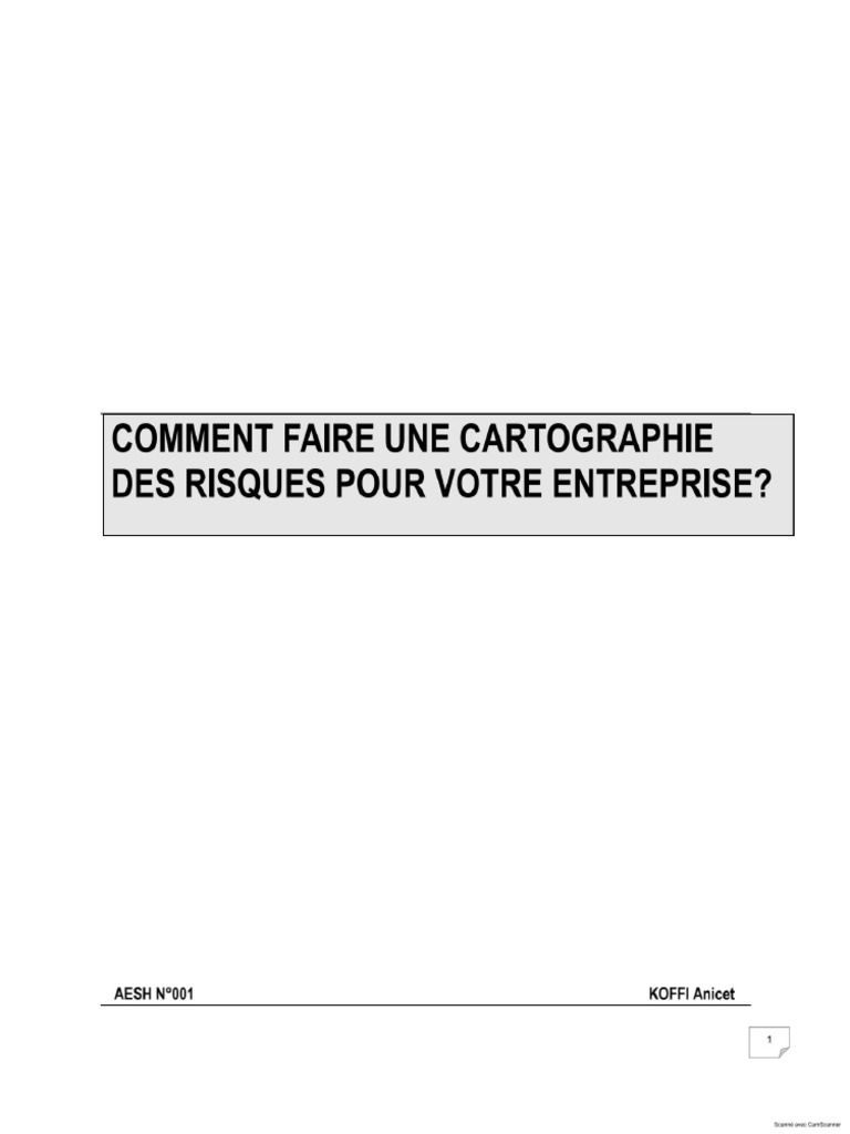 Une Cartographie Des Risques | PDF