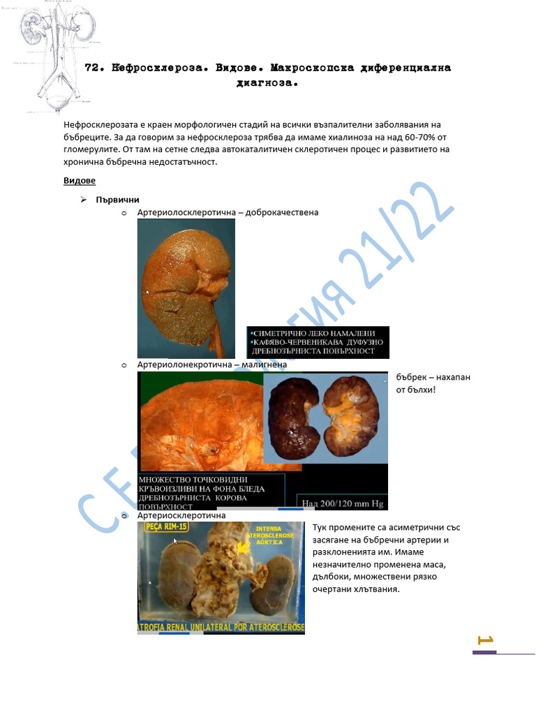 72 | PDF