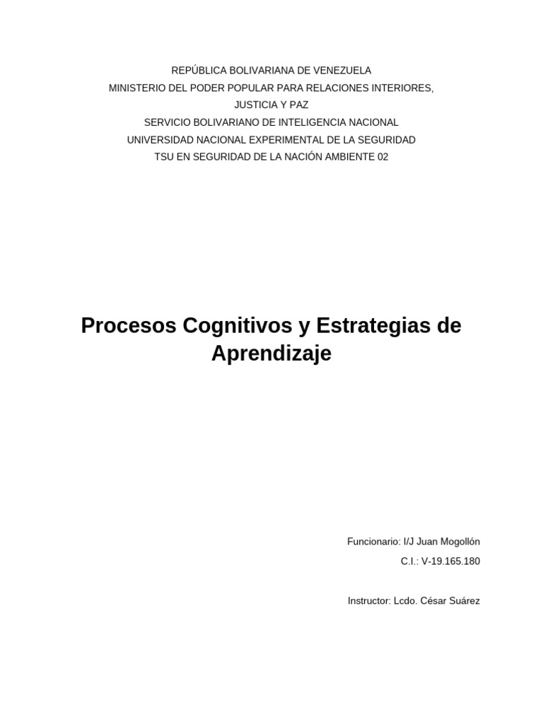 Procesos Cognitivos y Estrategias de Aprendizaje | PDF | Pensamiento ...