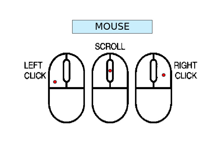 Mouse | PDF