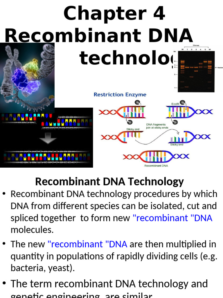 Chapter 4 Recombinant DNA Technology | PDF | Molecular Cloning ...