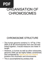 Download Organisation of Eukaryotic Chromosomes by stevensb055 SN101151296 doc pdf