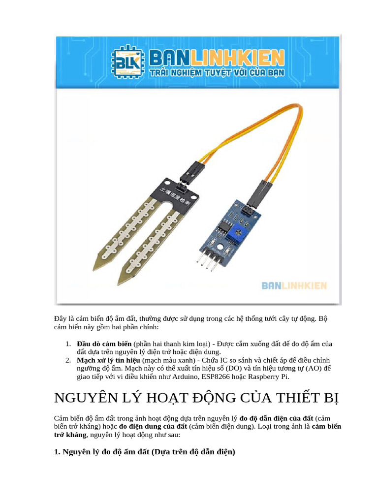 BBBB | PDF