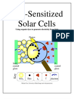 Dye-Sensitized Solar Cells Generate Electricity from Light