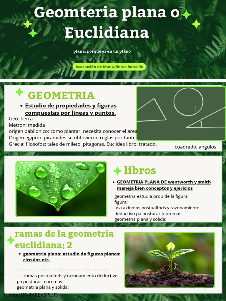 Geometria Euclidiana | PDF | Geometría euclidiana | Geometría