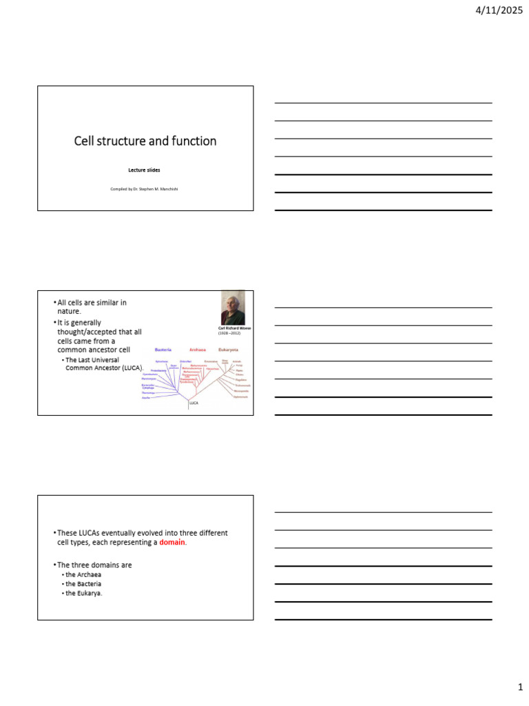 Topic 7. Cell Structure | PDF | Cell (Biology) | Endoplasmic Reticulum