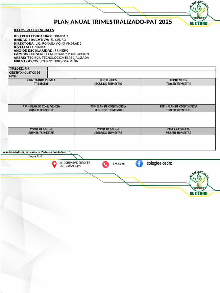 Formato Pat 2025 | PDF