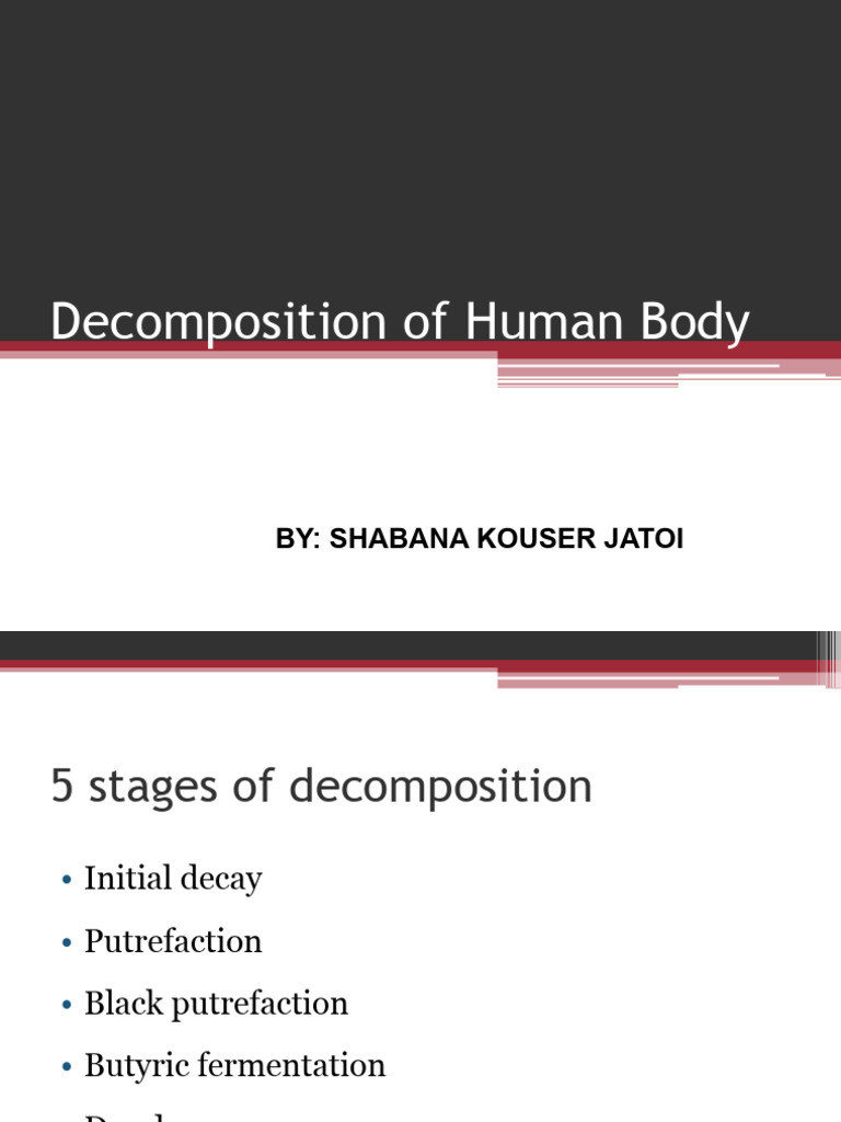 Decomposition of Human Body | PDF
