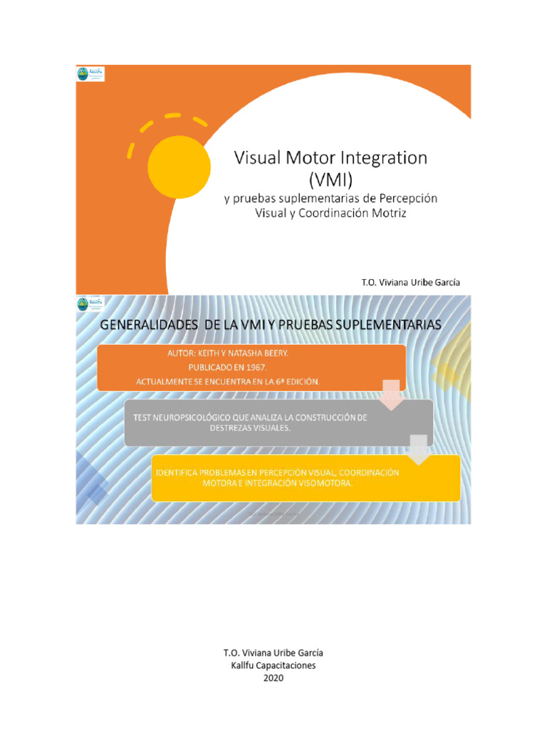 Evaluación Visual Motor Integration (VMI) | PDF