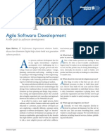 Viewpoint Agile Software Development