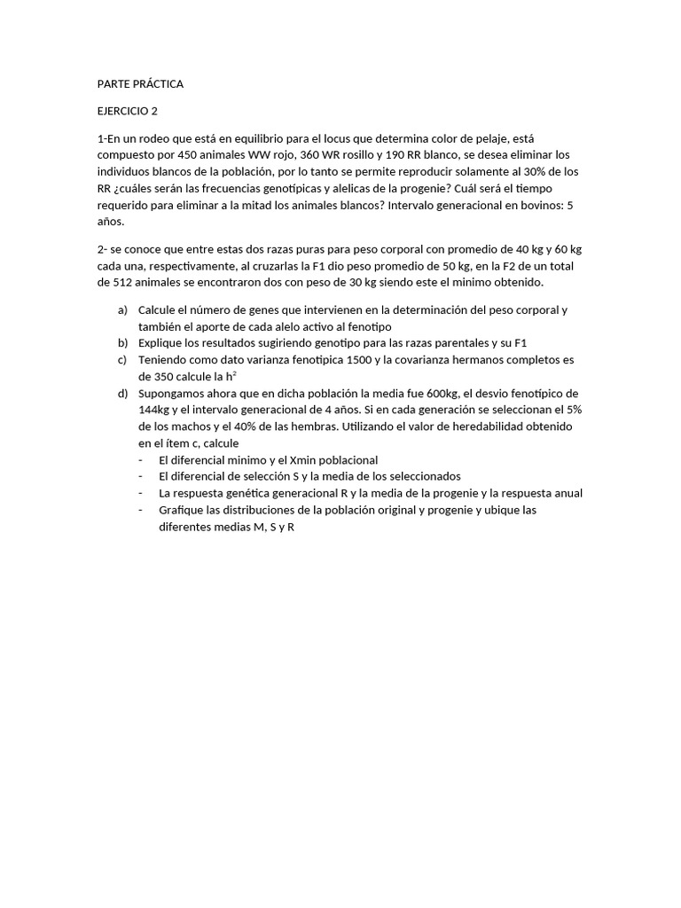 Parte Práctica Ejercicio 2 | PDF