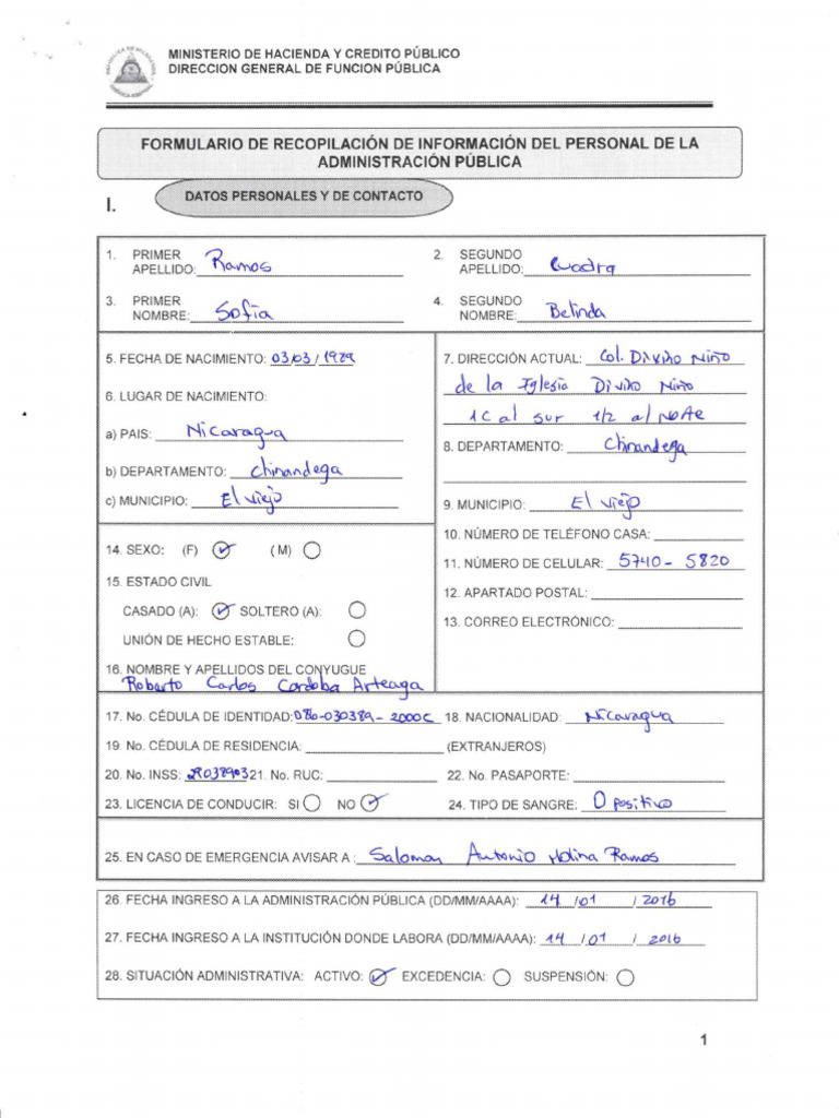Ejemplo de Formulario | PDF