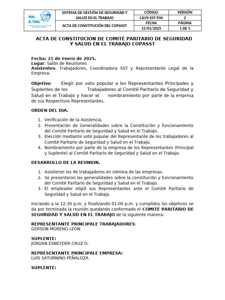 Acta de Constitucion de Copasst | PDF | Gobierno | Elecciones
