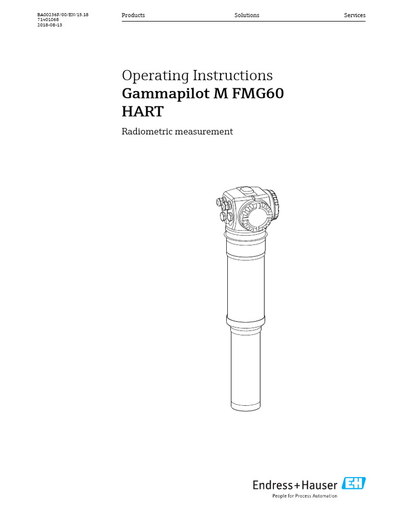 Gamma Pilot Endress Hart | PDF | Safety | Electrical Connector