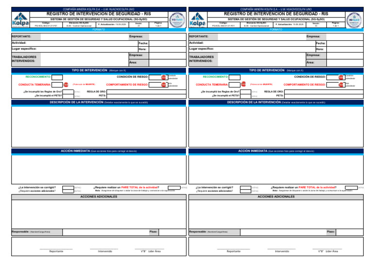 Formato de RIS - V3 | PDF | Business