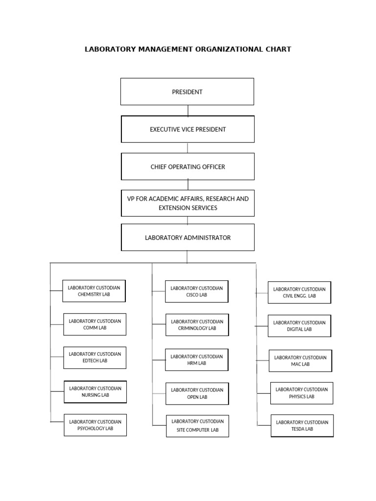 Laboratory Management Organizational Chart | PDF