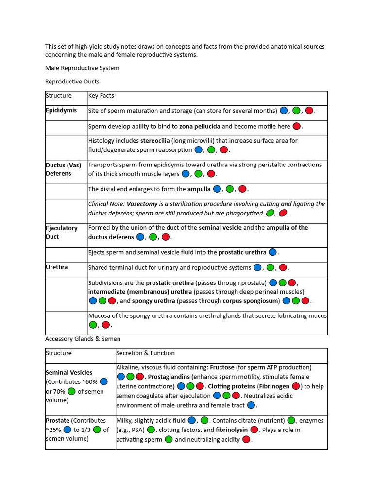 Reproductive System Comparative Notes | PDF | Menstrual Cycle ...