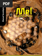 Mel das abelhas sem ferrão_Manual