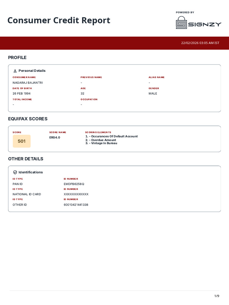 Credit Report | PDF