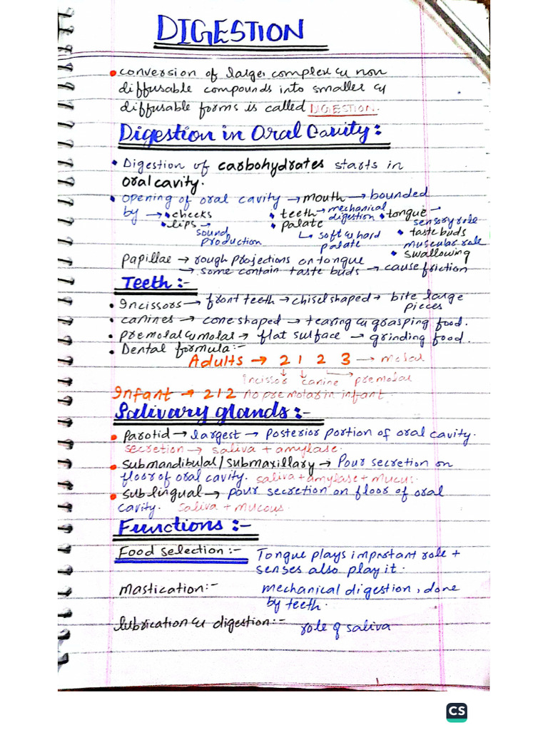 Digestion | PDF